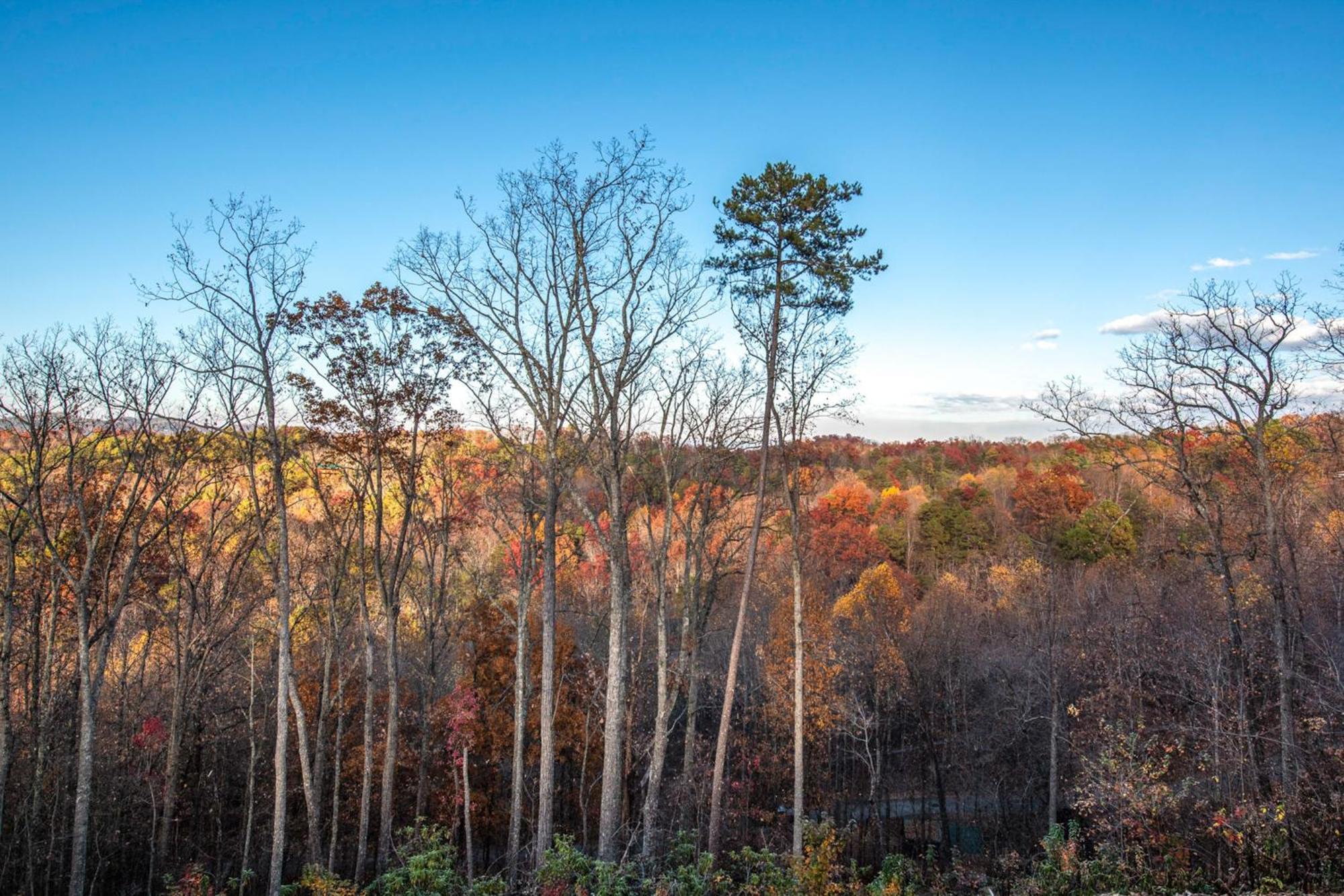 The Treetop Sanctuary Vila Sevierville Exterior foto